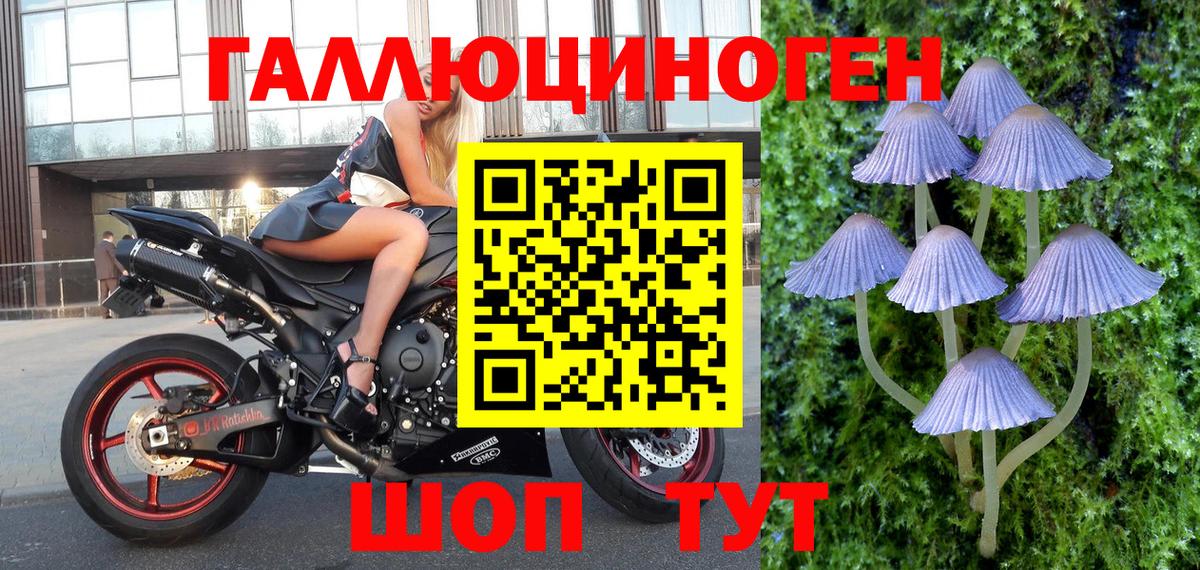 Галлюциногенные грибы Magic Shrooms  Вход с VPN  Троицк 